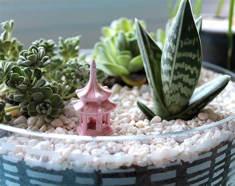 All of our dish gardens are delivered to you with a fresh selection of assorted succulent that are in season at our nursery. vitamini handmade: DIY Succulent Dish Garden