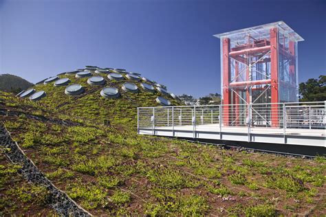 California Academy Of Sciences Living Roof By Swa Group 04 Landscape