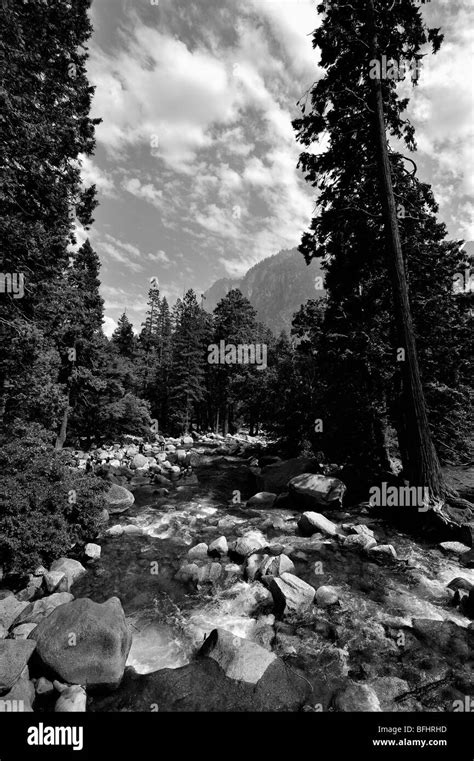 Stream In Yosemite National Park California Usa Stock Photo Alamy