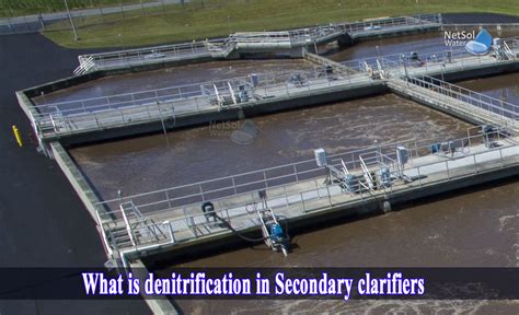 what is denitrification in secondary clarifiers netsol water