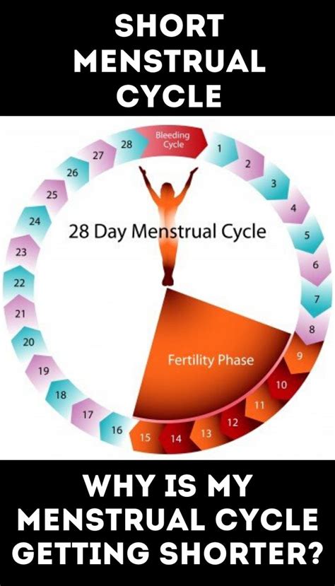 Some women have shorter periods of up to 21 days while others have. Why is My Menstrual Cycle Getting Shorter? in 2020 ...