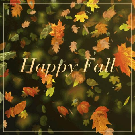 Leaves Falling Transparent  Collection Of Autumn Leaves Hd Png