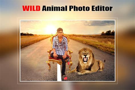 Updated Wild Animal Photo Editor Frame Sticker Effect For Pc