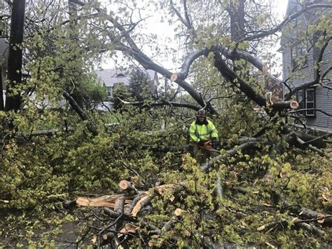 Storms Make Their Way Through Western Pa Knock Out Power Down Trees Flipboard