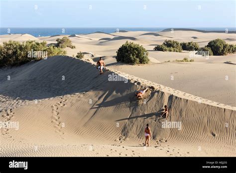 Sand Dunes Maspalomas Playa Del Ingles Gran Canaria Spain Stock