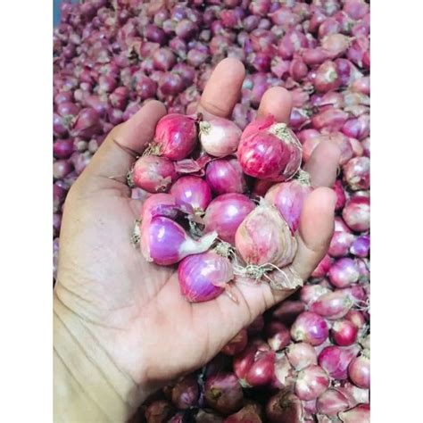 Jual Bawang Merah Besar 1kg Shopee Indonesia