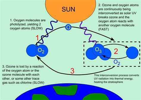 What is the ozone layer? Ozone layer - Wikipedia