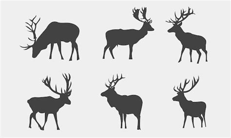Premium Vector Vector Illustration Of Animal Deer Silhouettes Collection
