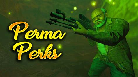 Top 5 Perma Perks In Call Of Duty Zombies History Top 5
