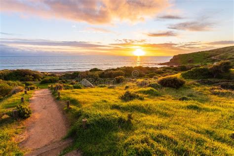 Hallett Cove Conservation Park Trail At Sunset Stock Image Image Of