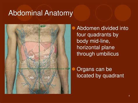 Abdominopelvic Quadrants