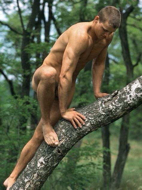 Nude Man Climbing Tree Phnix
