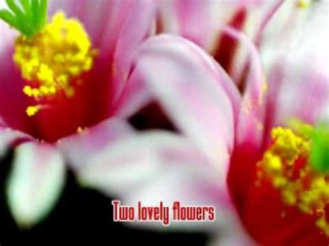 I do love you eddie peregrina. Two Lovely Flowers - Eddie Peregrina - YouTube