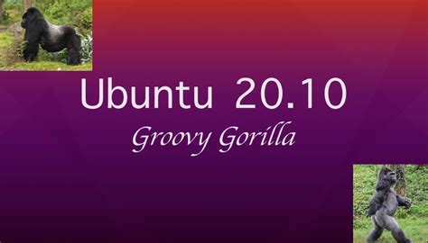 A Ottobre Arriverà Il Gorilla Ecco Ubuntu 2010 Gorilla Groovy