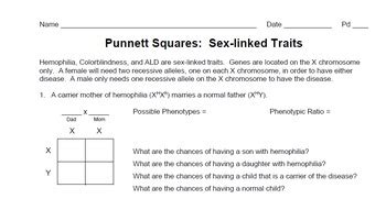 Genetics Sex Linked Trait Punnett Squares By Spyglass Biology Tpt Hot