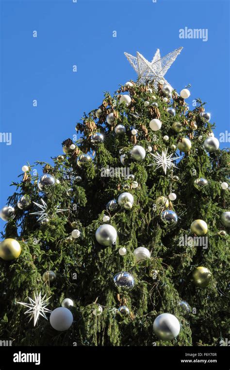 Large Outdoor Christmas Tree Hi Res Stock Photography And Images Alamy