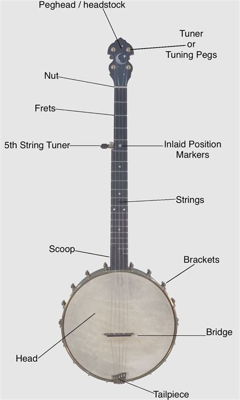 Pin On Banjo Lessons