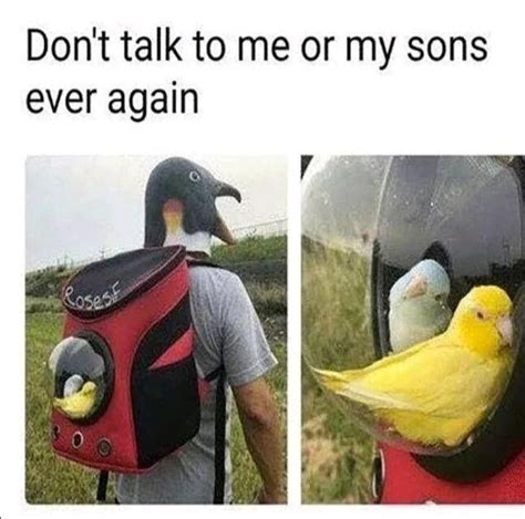 Dont Talk To Me Or My Sons Ever Again Meme Subido Por Illrandom