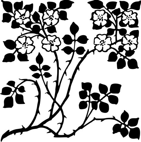 Free Floral Design Black And White Download Free Floral Design Black