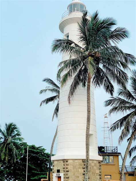 Sri Lanka Lighthouse Stock Image Image Of Food Tree 212204923