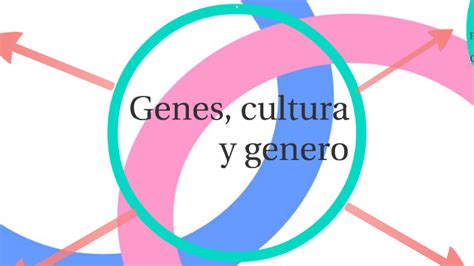 Genes Cultura Y Genero By Mayerlineg Alejandra Segura Morillo On Prezi