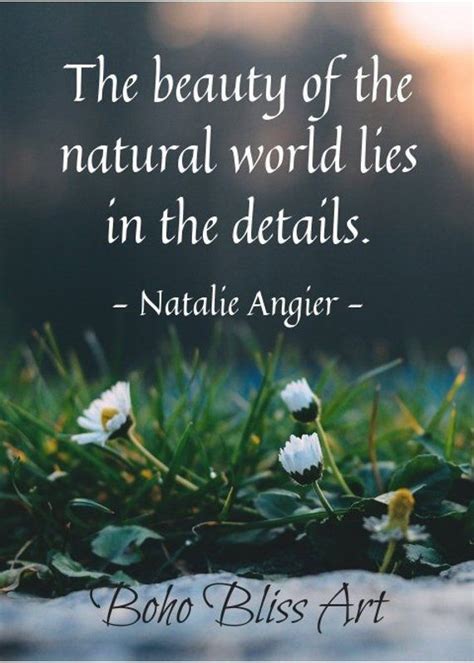 The Beauty Of The Natural World Lies In The Details Quote By Natalie
