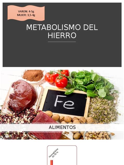 Metabolismo Del Hierro Pdf