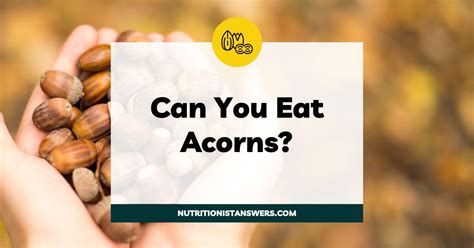 Can You Eat Acorns Nutritionist Answers