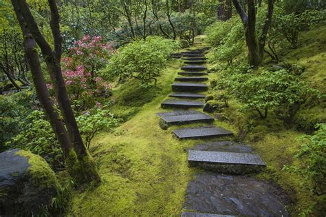 Whats Behind Japans Moss Obsession