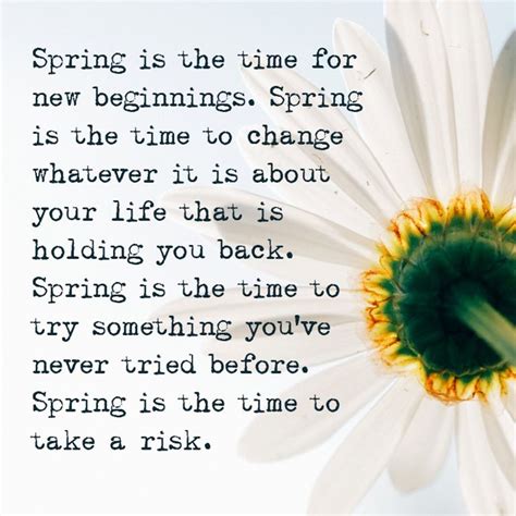 On Spring And New Beginnings Spring Is The Time For New Beginnings
