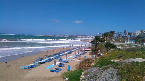 paphos municipal beach cyprus top tips before you go with photos tripadvisor