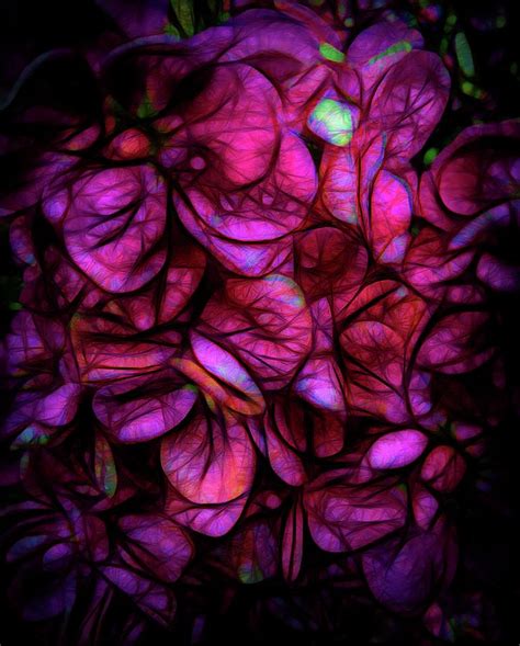 Mar 20, 2016 · what you need to know is that these images that you add will neither increase nor decrease the speed of your computer. Dark Pink Flower Background Photograph by Cindy Boyd