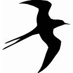 Bird Silhouette Swallow Icon Flying Schlucken Svg
