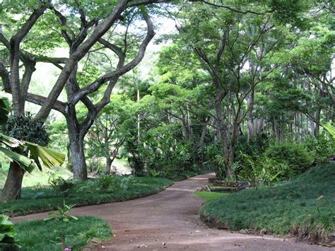 Allerton National Tropical Botanical Gardens Koloa Hi — Sunshine And
