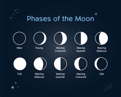Phases Of The Moon Cpre Somerset