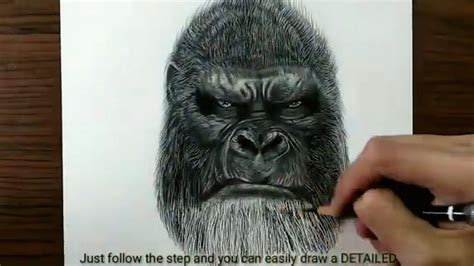 How To Draw Kong King Kong Step By Step Easy Tutorial And Tips For