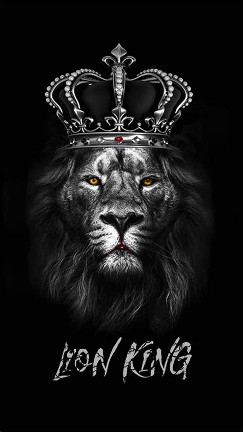 King Black Lion Lions Hd Phone Wallpaper Peakpx