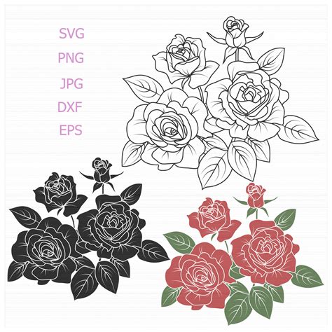 Roses Images Svg