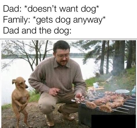 Classic Dad And The Dog Memes Filled With Wholesomeness Stupid