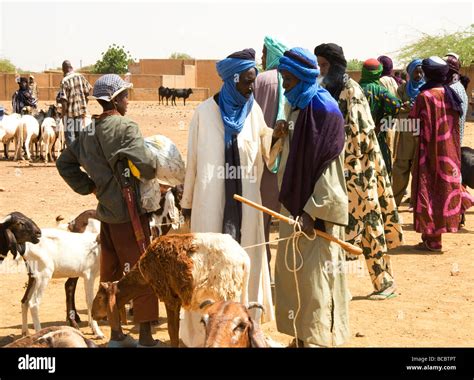 Burkina Faso Sahel Weekly Market Of Gorom Goromcattle Market Stock