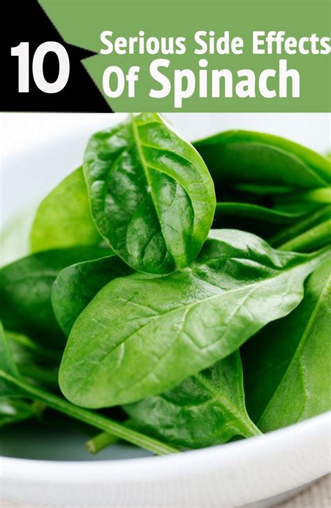 The presence of nitrates and nitrites in food is associated with an increased risk of gastrointestinal cancer and, in infants, methemoglobinemia. 4 Side Effects Of Eating Too Much Spinach | Kidney recipes ...