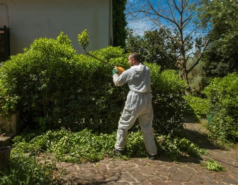 Premium Photo Man Trimming An Hedge