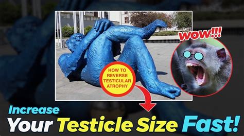 Ways To Increase Testicle Size Naturally YouTube