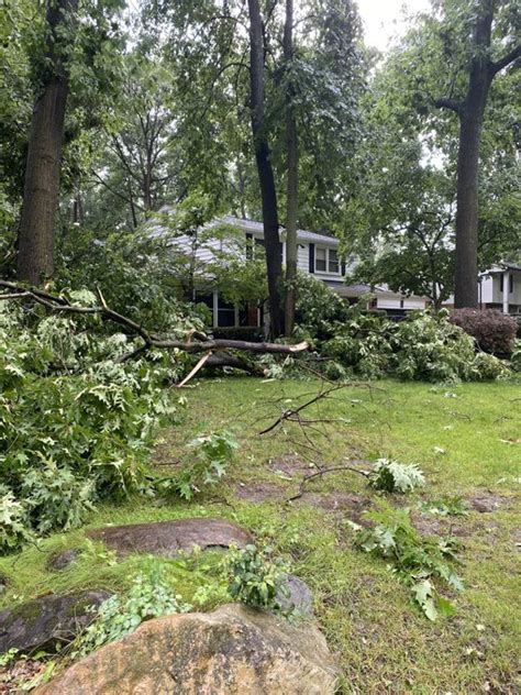 Gallery Severe Storm Damage Across Southeast Michigan