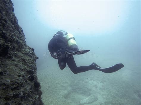Underwater Diver In Underwater World Stock Photo Image Of Color