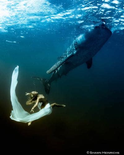 Dancing With Whales By Shawn Heinrichs And Kristia Tumbex