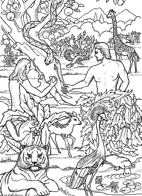 Adam and eve bible coloring pages for preschool, kindergarten and elementary school children to print and color. Adam and Eve | Sunday school coloring pages, Jesus ...