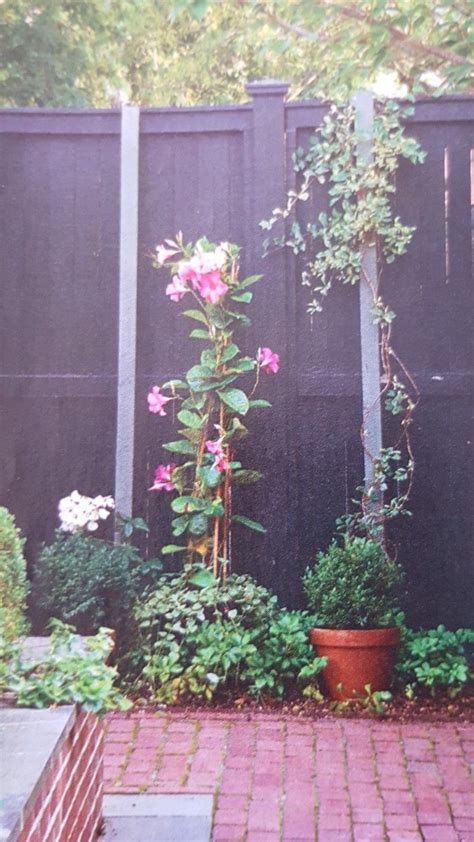 This simple wall he designed for his moderne villatuin. Black painted fence | Fence paint, Black paint, Garden