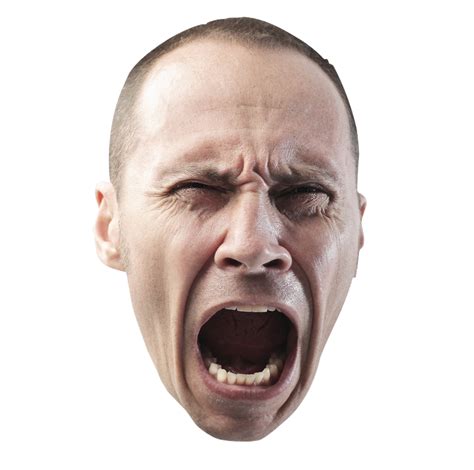 Collection Of Png Yelling Pluspng Images