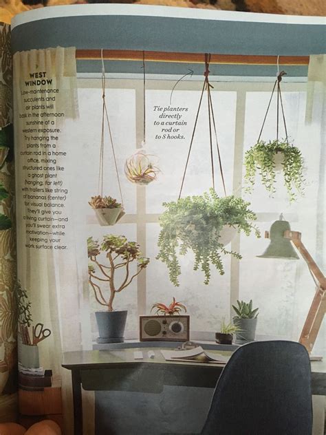 Hang Plants From Curtain Rod In W Facing Window Hanging Plants